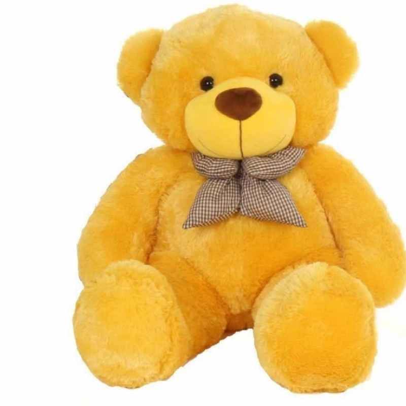 Teddy For Gift